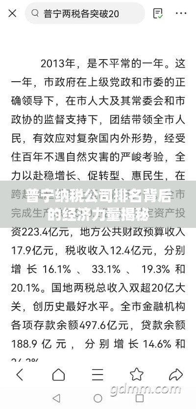 普宁纳税公司排名背后的经济力量揭秘