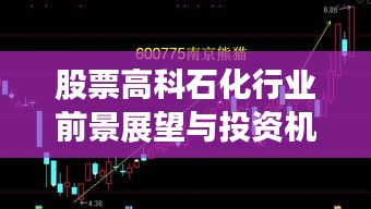 股票高科石化行业前景展望与投资机会揭秘