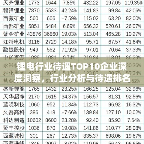 锂电行业待遇TOP10企业深度洞察，行业分析与待遇排名揭秘