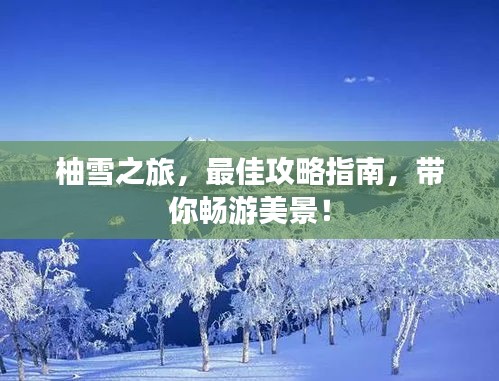 柚雪之旅，最佳攻略指南，带你畅游美景！