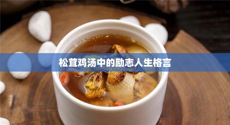 松茸鸡汤中的励志人生格言