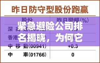 紧急避险公司排名揭晓，为何它们至关重要？