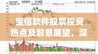 宝信软件股票投资热点及前景展望，深度解析与预测分析