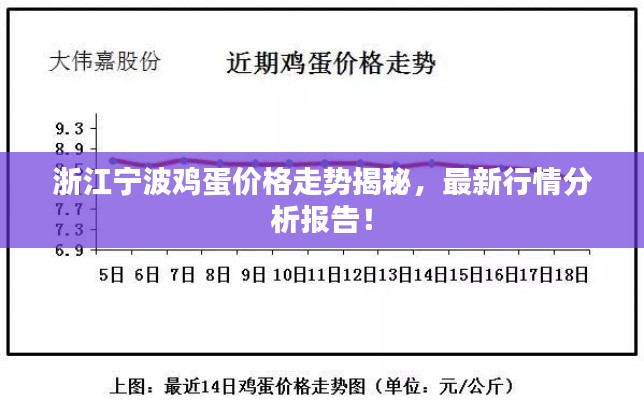 浙江宁波鸡蛋价格走势揭秘，最新行情分析报告！