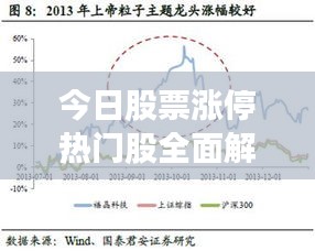 今日股票涨停热门股全面解析，投资机会一网打尽！