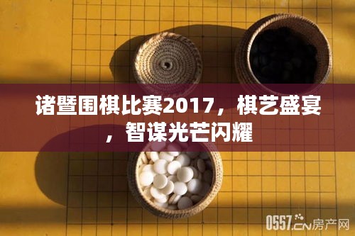 诸暨围棋比赛2017，棋艺盛宴，智谋光芒闪耀