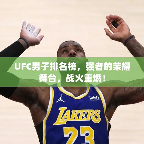 UFC男子排名榜，强者的荣耀舞台，战火重燃！