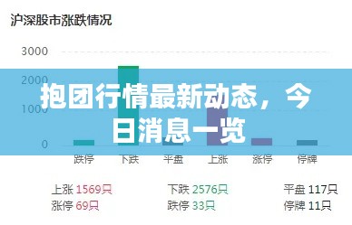 抱团行情最新动态，今日消息一览