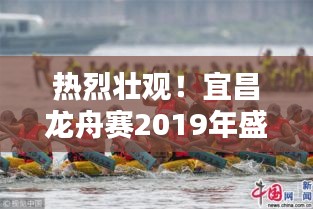 热烈壮观！宜昌龙舟赛2019年盛况一览