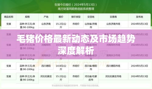 毛猪价格最新动态及市场趋势深度解析