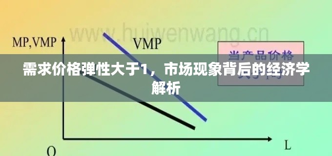 需求价格弹性大于1，市场现象背后的经济学解析