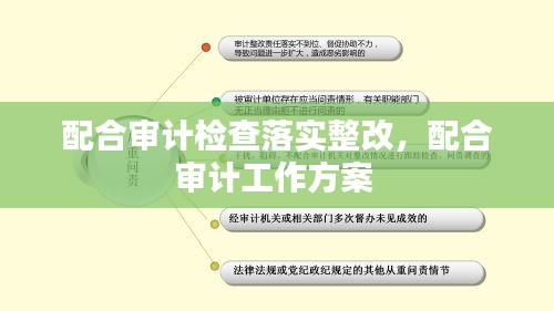 配合审计检查落实整改，配合审计工作方案 