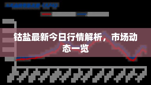 钴盐最新今日行情解析，市场动态一览