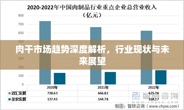 肉干市场趋势深度解析，行业现状与未来展望