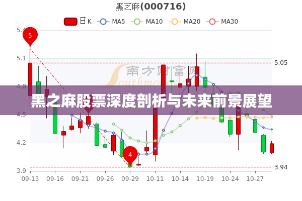 黑之麻股票深度剖析与未来前景展望