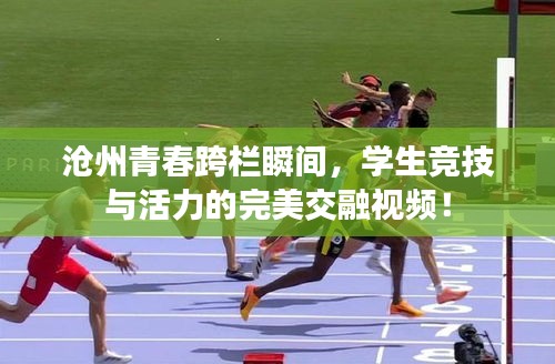 沧州青春跨栏瞬间，学生竞技与活力的完美交融视频！