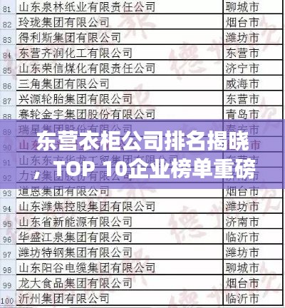 东营衣柜公司排名揭晓，TOP 10企业榜单重磅出炉！