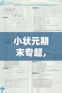 小状元期末专题，小状元夹册答案 