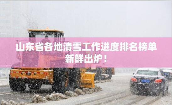 山东省各地清雪工作进度排名榜单新鲜出炉！