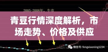 青豆行情深度解析，市场走势、价格及供应需求一网打尽