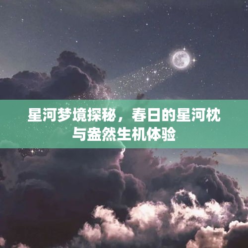 星河梦境探秘，春日的星河枕与盎然生机体验