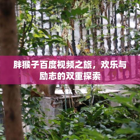 胖猴子百度视频之旅，欢乐与励志的双重探索