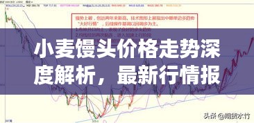 小麦馒头价格走势深度解析，最新行情报告来袭！