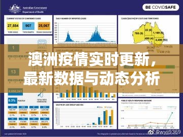 澳洲疫情实时更新，最新数据与动态分析