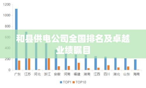 和县供电公司全国排名及卓越业绩瞩目