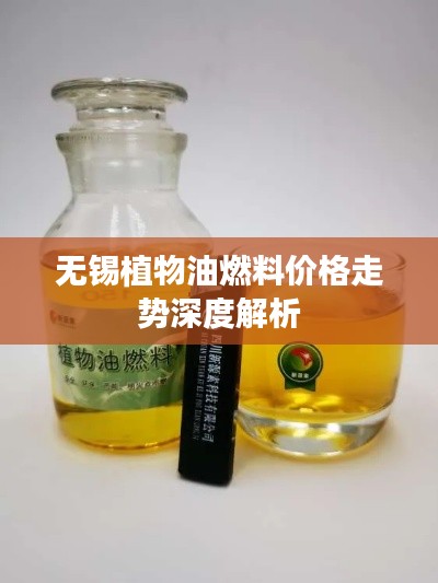 无锡植物油燃料价格走势深度解析