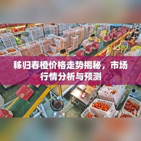 秭归春橙价格走势揭秘，市场行情分析与预测