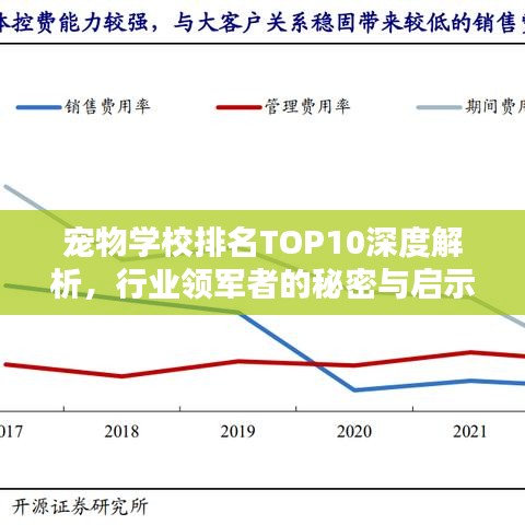 宠物学校排名TOP10深度解析，行业领军者的秘密与启示