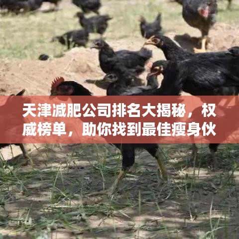 天津减肥公司排名大揭秘，权威榜单，助你找到最佳瘦身伙伴！