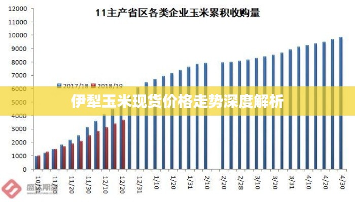 伊犁玉米现货价格走势深度解析