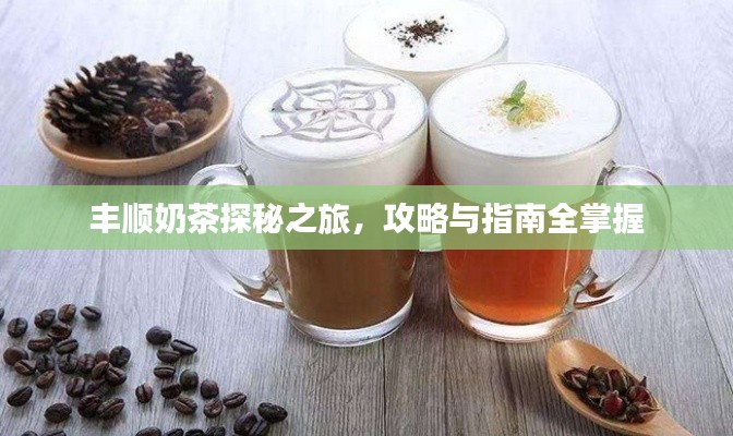 丰顺奶茶探秘之旅，攻略与指南全掌握