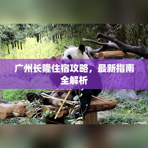 广州长隆住宿攻略，最新指南全解析