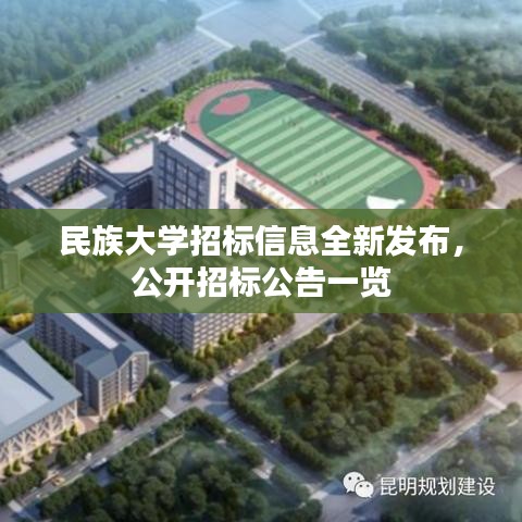 民族大学招标信息全新发布，公开招标公告一览