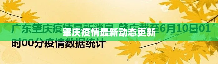 肇庆疫情最新动态更新