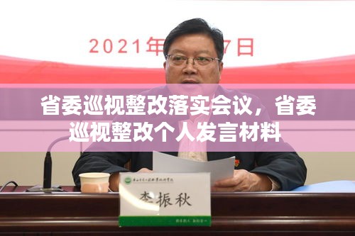 省委巡视整改落实会议，省委巡视整改个人发言材料 