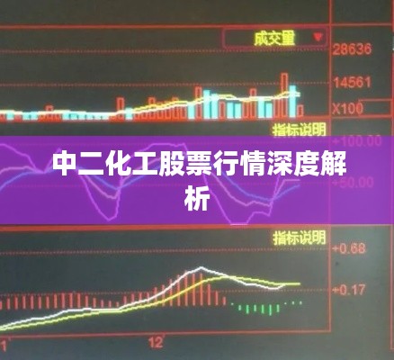 2025年2月15日 第7页