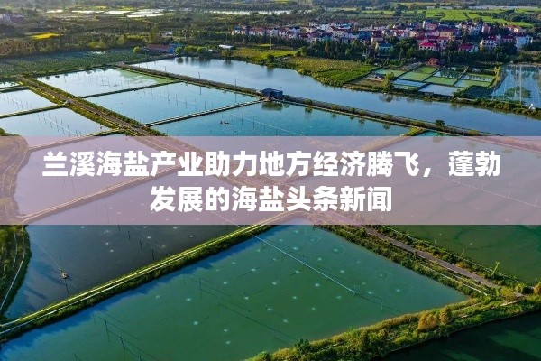 兰溪海盐产业助力地方经济腾飞，蓬勃发展的海盐头条新闻