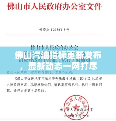 佛山汽油指标更新发布，最新动态一网打尽