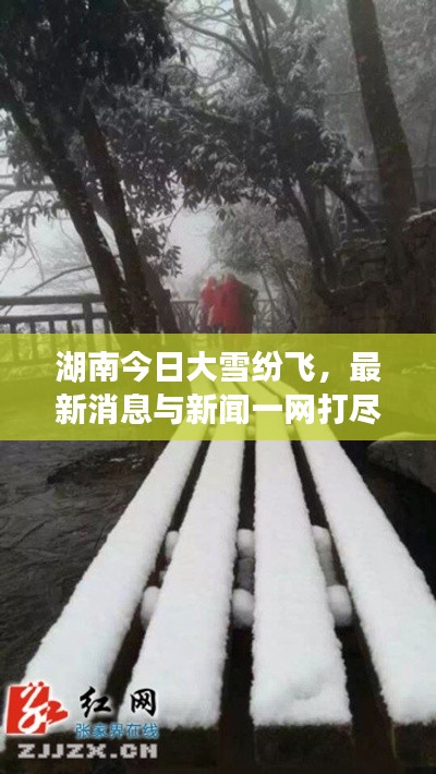 湖南今日大雪纷飞，最新消息与新闻一网打尽综述