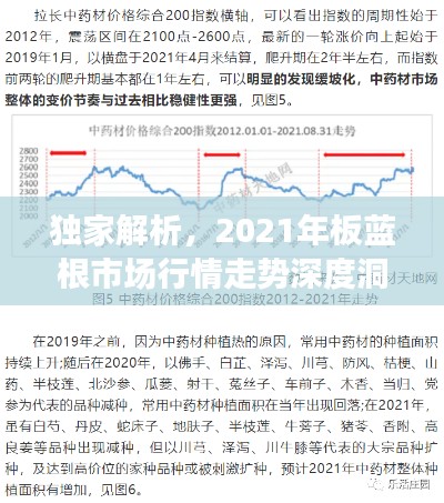 独家解析，2021年板蓝根市场行情走势深度洞察