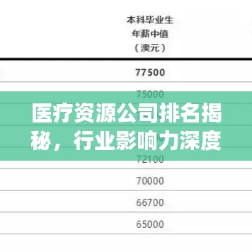 医疗资源公司排名揭秘，行业影响力深度解读