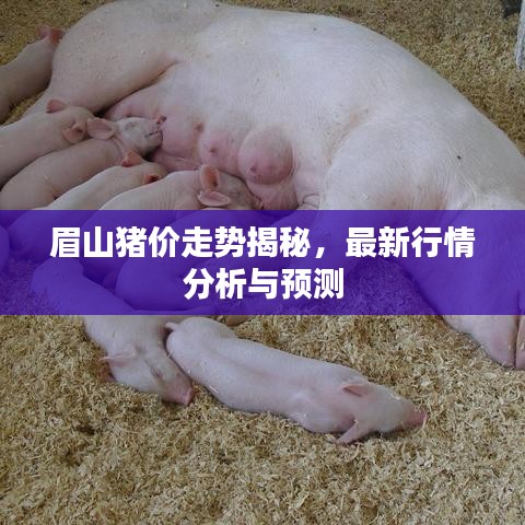 眉山猪价走势揭秘，最新行情分析与预测