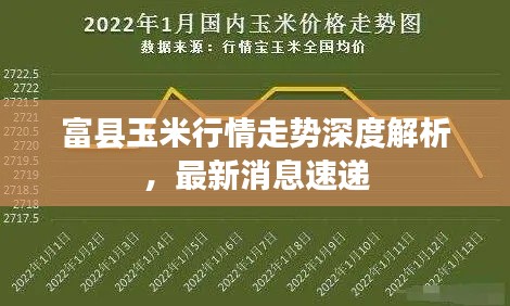 富县玉米行情走势深度解析，最新消息速递