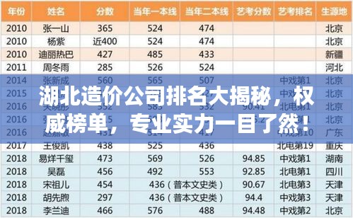 湖北造价公司排名大揭秘，权威榜单，专业实力一目了然！