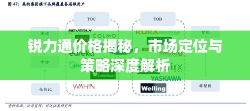 锐力通价格揭秘，市场定位与策略深度解析