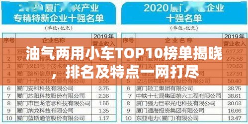 油气两用小车TOP10榜单揭晓，排名及特点一网打尽